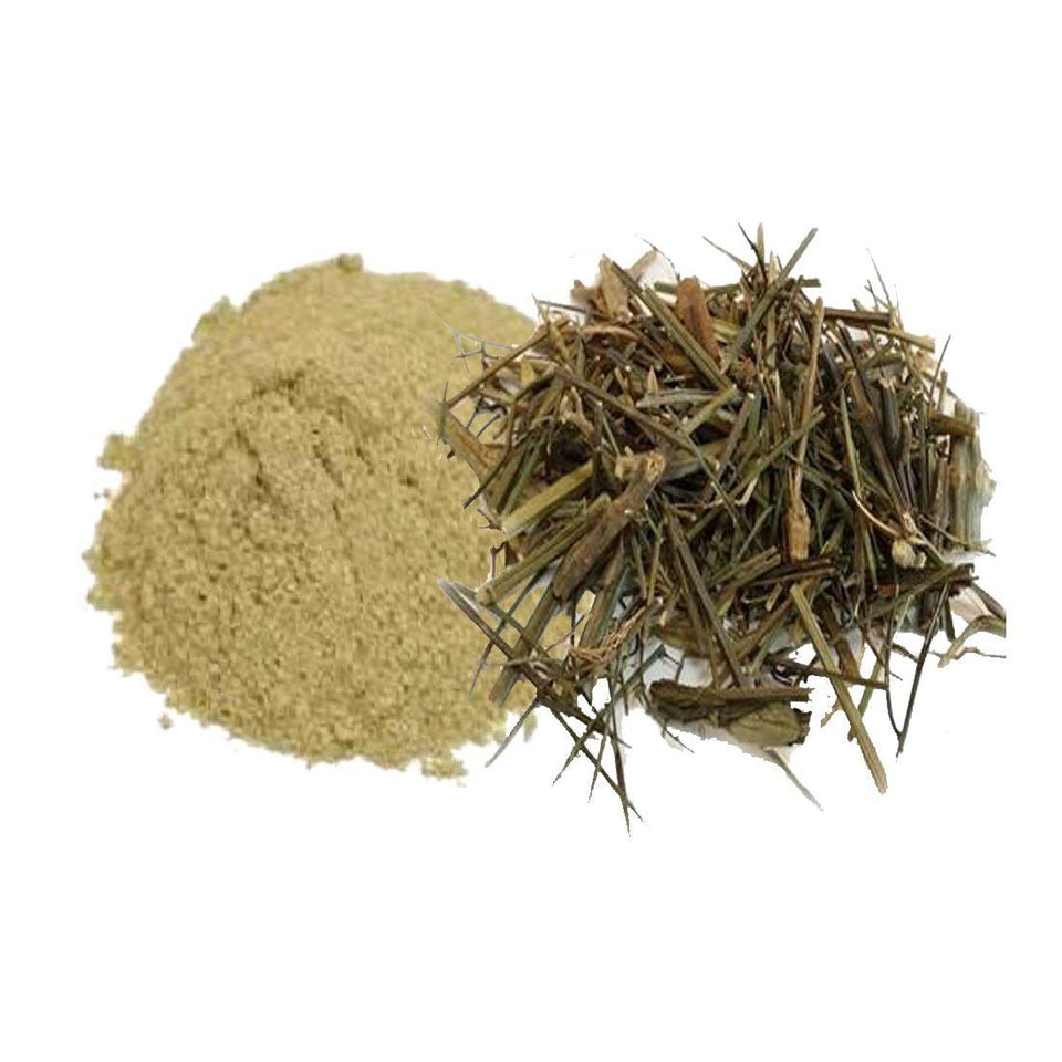 Kunjika Jadibooti Chirayata / Bitterstick / Kalmegh / Swertia Chirata / Andrographis paniculata Powder - 100 gm