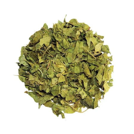 Kunjika Jadibooti Dry Gudmar Leaves - Gurmar Leaf | Merasingi Dried Leaves |Periploca Of The Woods - 100 gm
