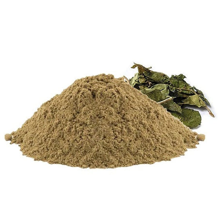 Kunjika Jadibooti Gurmar Powder - Gudmar Powder-Madhunashini Powder - Gymnema Sylvestre - Periploca Of The Woods 100 gm