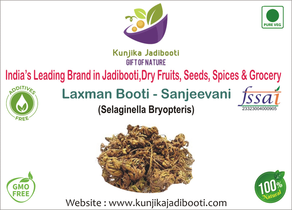 Kunjika Jadibooti Laxman Booti - Sanjeevani - Pitta Kalu - Selaginella Bryopteris - Lakshman Buti -100 grams