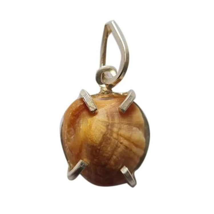 Natural Certified Machh Mani Pendant sea stone Pendant to Reduces and Removes Rahu Impact (Meen Mukta, fish stone) Lab Certificate Stone Pendant