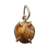 Natural Certified Machh Mani Pendant sea stone Pendant to Reduces and Removes Rahu Impact (Meen Mukta, fish stone) Lab Certificate Stone Pendant