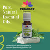 Pujahaat Camphor Essential Oil (Cinnamomum camphora) Pure | Non-Sticky | Non-greasy | Lightweight | Therapeutic Grade For Bath, Diffuser & Aromatherapy -15ML