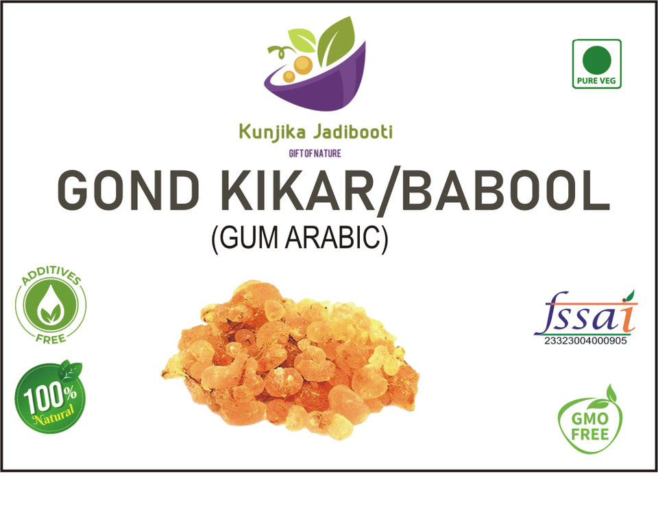 Kunjika Jadibooti Babul Gond Gum - Kikar Gond - Babool Gond - Acacia arabica Wild