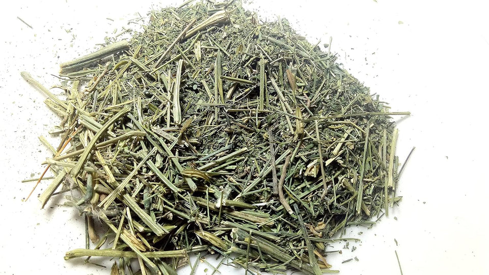 Kunjika Jadibooti Chirayata Stick | Chirata | Kalmegh Whole | Andrographis paniculata | Bitter Stick | Chiraita Nepali |Enicostemma Littorale | Indian Gentian - 100 gm