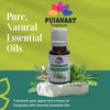 Pujahaat Rosemary Essential Oil (Rosmarinus officinalis) for Hair Growth, Hair Fall Control and Nourishment, Skin Care | All Skin Types | 100% Pure, Natural, Undiluted | 15ml
