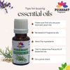 Pujahaat Rosemary Essential Oil (Rosmarinus officinalis) for Hair Growth, Hair Fall Control and Nourishment, Skin Care | All Skin Types | 100% Pure, Natural, Undiluted | 15ml