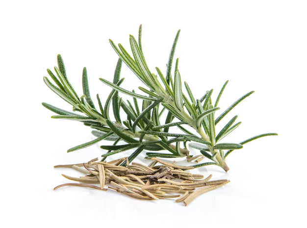 Pujahaat Rosemary Essential Oil (Rosmarinus officinalis) for Hair Growth, Hair Fall Control and Nourishment, Skin Care | All Skin Types | 100% Pure, Natural, Undiluted | 15ml