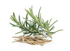 Pujahaat Rosemary Essential Oil (Rosmarinus officinalis) for Hair Growth, Hair Fall Control and Nourishment, Skin Care | All Skin Types | 100% Pure, Natural, Undiluted | 15ml