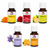 Pujahaat Lavender, Marigold (Genda), Orange, Rose, Lemon Aroma Oil for Aromatherapy oils, Oil for diffusers, Humidifier oils, Oil Burners, Spa and Air Purifier 10ml Each - Set of 5 (5 x 10 ml) AO6