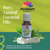 Pujahaat Tea Tree Essential Oil For Hair, Face, Acne Care, Dandruff, Antibacterial & Skin Healing- 100% Pure, Natural and Undiluted - 15 ml