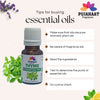 Pujahaat Thyme Essential Oil - Natural, Pure, Plant-Based Skincare & Hair care Solution, Aromatherapy - Hydrates, Soothes, Promotes Hair Growth & Skin Healing - Vegan & Cruelty free - 15 ml