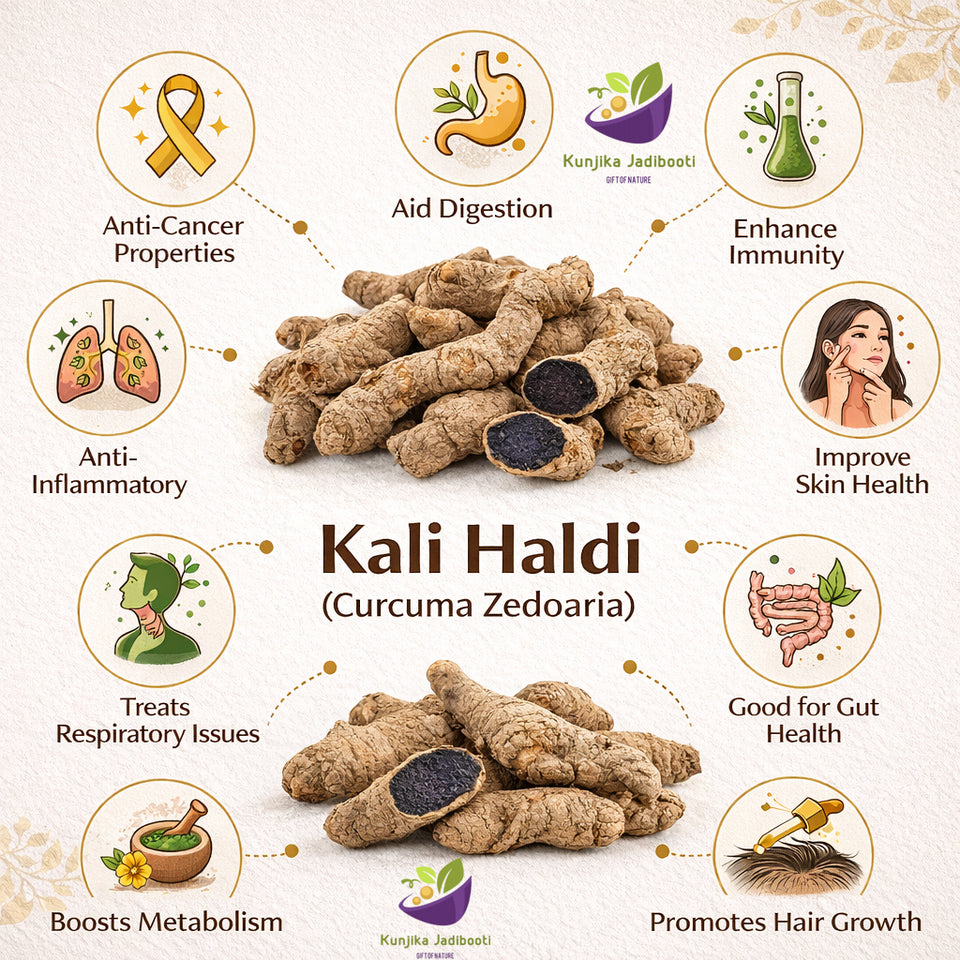 Kunjika Jadibooti Black Turmeric | Kali Haldi | Narkachur | Nar Kachur - Narkchaur - Curcuma Zerumbet - Zedoary Root Pure & Natural - 100 gms