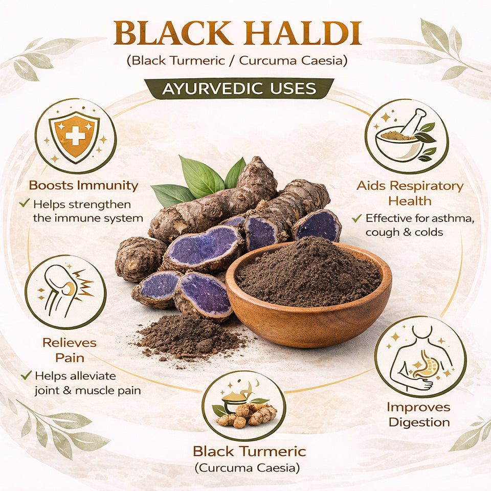 Kunjika Jadibooti Black Turmeric Powder | Kali Haldi | Narkachur | Nar Kachur - Narkchaur - Curcuma Zerumbet - Zedoary Root Pure & Natural Powder - 100 gms
