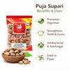 Kunjika Jadibooti Sabut Supari - Paan Puja Supari - Areca Nut - Sabut Chaliya Satta - Whole Betel Nut - 100 gms