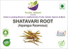 Kunjika Jadibooti Shatavari Yellow Root - Asparagus Racemosus - Satawar - Satawari - 100gm
