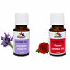 Pujahaat Lavender and Rose Aroma Oil for Aromatherapy oils, Oil for diffusers, Humidifier oils, Oil Burners, Spa and Air Purifier 10ml Each - Set of 2 (2 x 10 ml) AO10