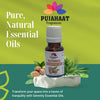 Pujahaat Nutmeg Essential Oil – Pure and Natural - Nutmeg Oil Ideal for Aromatherapy, Massage, Relaxation, Skincare, and Wellness - Vegan & Cruelty free - 15 ml