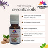 Pujahaat Nutmeg Essential Oil – Pure and Natural - Nutmeg Oil Ideal for Aromatherapy, Massage, Relaxation, Skincare, and Wellness - Vegan & Cruelty free - 15 ml