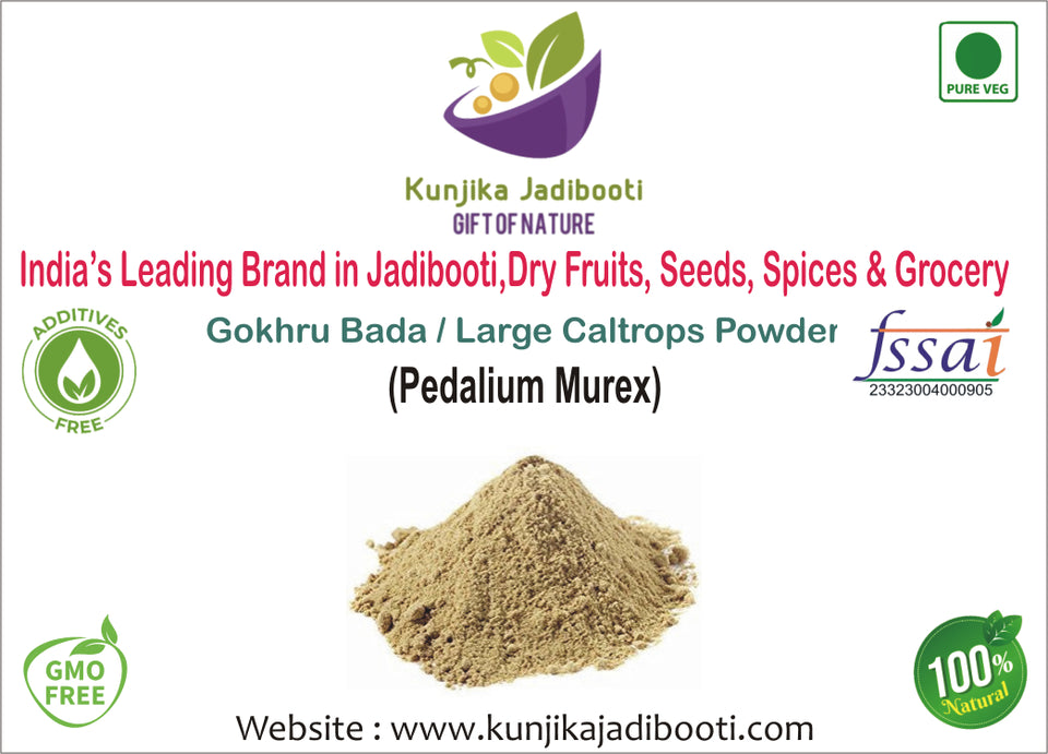 Kunjika Jadibooti Gokhru Bada Powder Churan | Tribulus Terrestris Powder | Gokshru Powder- Large Caltrops- 100 gm
