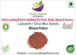 Kunjika Jadibooti Lajwanti Seeds - Lajvanti Beej - Chui Mui - Mimosa pudica - 100 gm