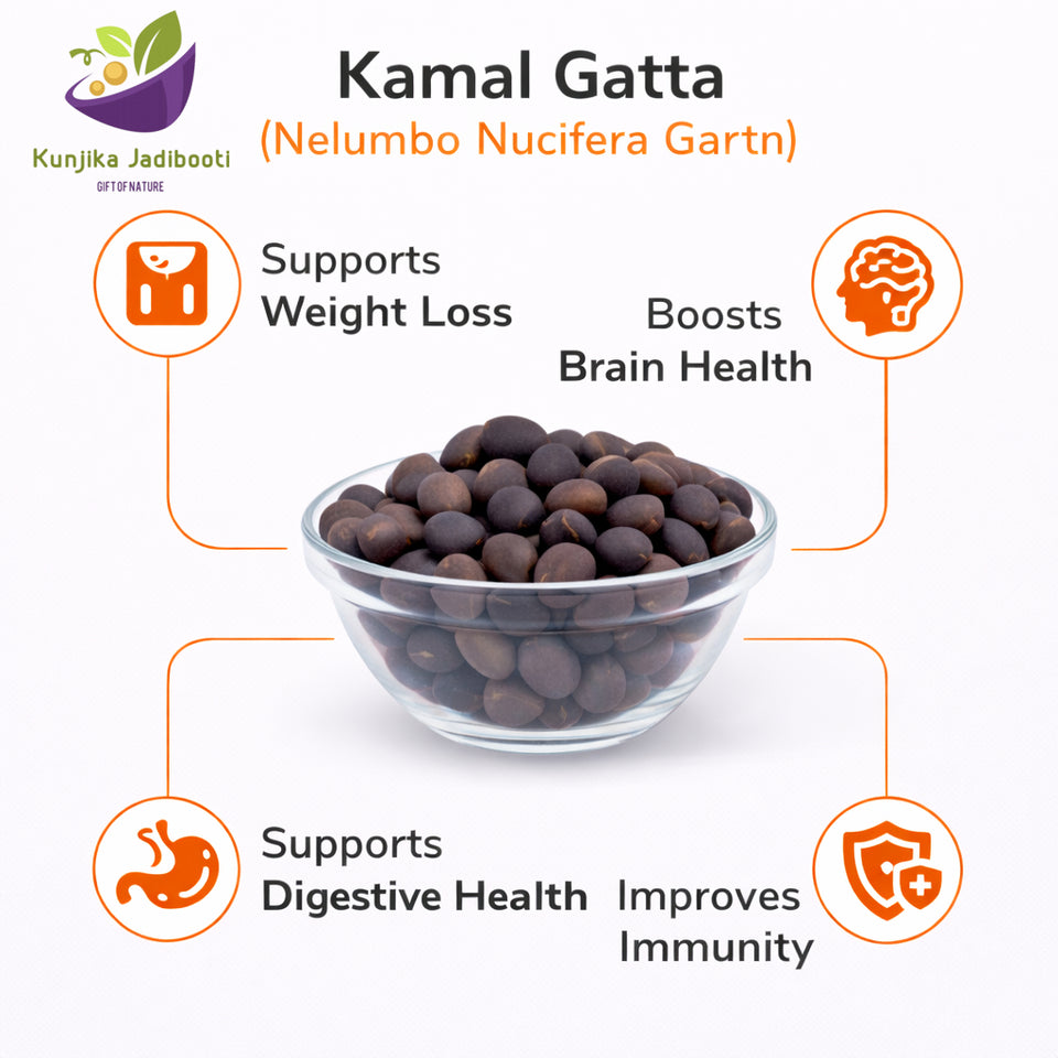 Kunjika Jadibooti Kamal Gatta | Nelumbo Nucifera Gaertn - Lotus Seeds Kamal Gatta - Kamalgatta Kamal Kakdi - 100 gm