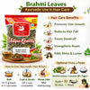 Kunjika Jadibooti Dry Brahmi Leaves, Water Hyssop, Neerbrahmi - 100 gm
