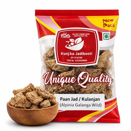 Kunjika Jadibooti Paan Jadd - Kulinjan - Alpinia Galanga Wild - Siamese Ginger - Thai Ginger -100 grams