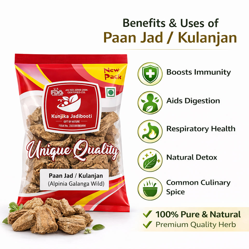 Kunjika Jadibooti Paan Jadd - Kulinjan - Alpinia Galanga Wild - Siamese Ginger - Thai Ginger -100 grams