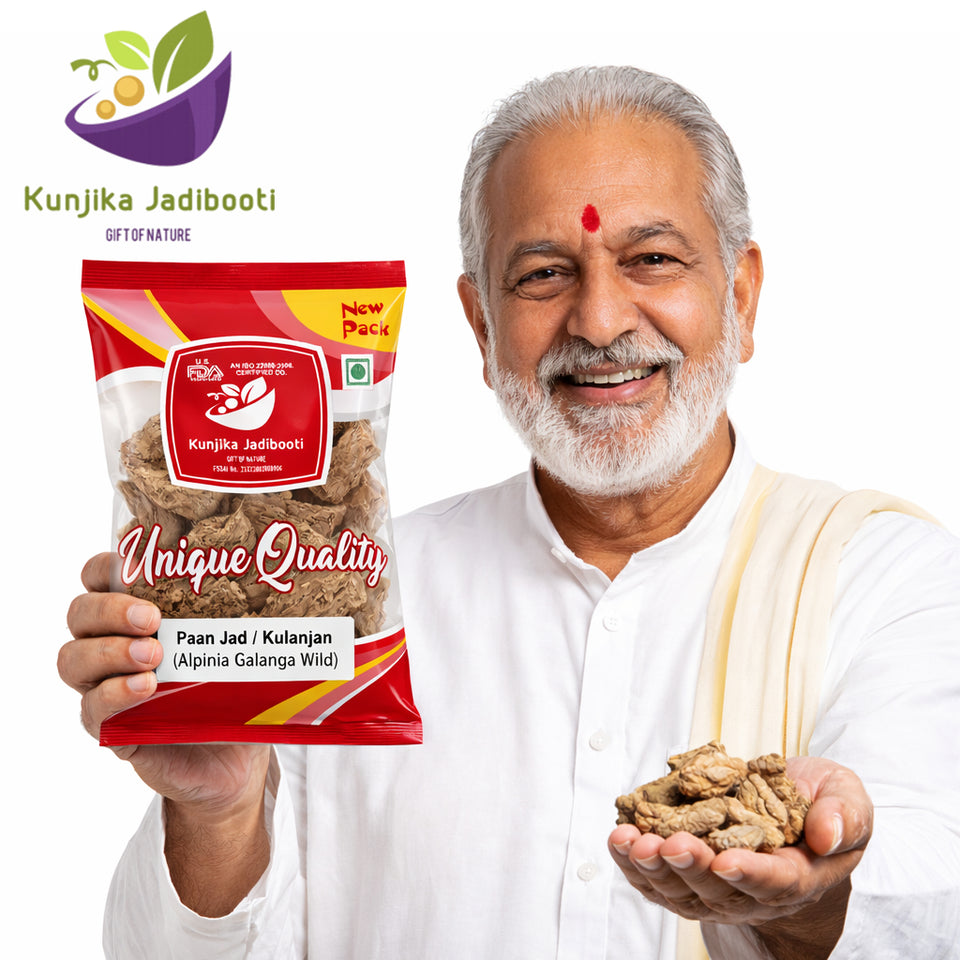 Kunjika Jadibooti Paan Jadd - Kulinjan - Alpinia Galanga Wild - Siamese Ginger - Thai Ginger -100 grams