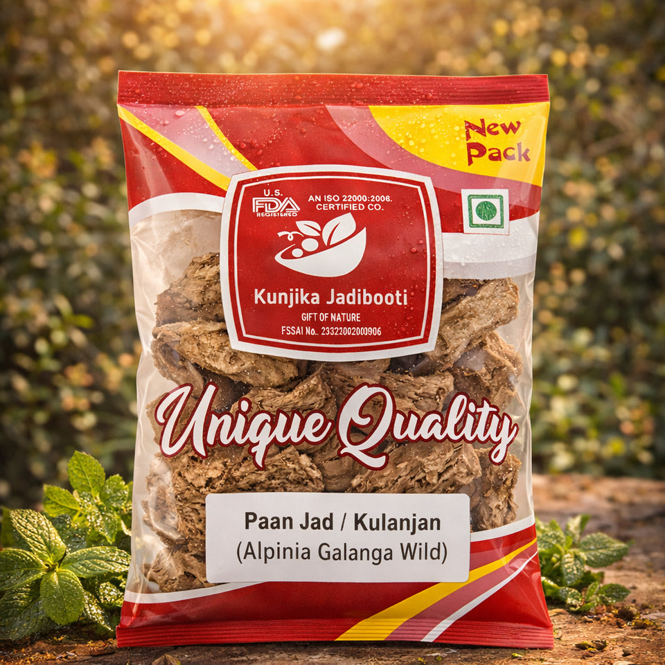 Kunjika Jadibooti Paan Jadd - Kulinjan - Alpinia Galanga Wild - Siamese Ginger - Thai Ginger -100 grams