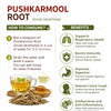 Kunjika Jadibooti Pushkarmool Roots-Inula Racemosa-Raw Herbs-Pushkar Mool-Orris Root-Jadi Booti-Single Herbs - 100 gm