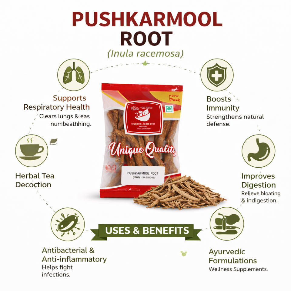 Kunjika Jadibooti Pushkarmool Roots-Inula Racemosa-Raw Herbs-Pushkar Mool-Orris Root-Jadi Booti-Single Herbs - 100 gm