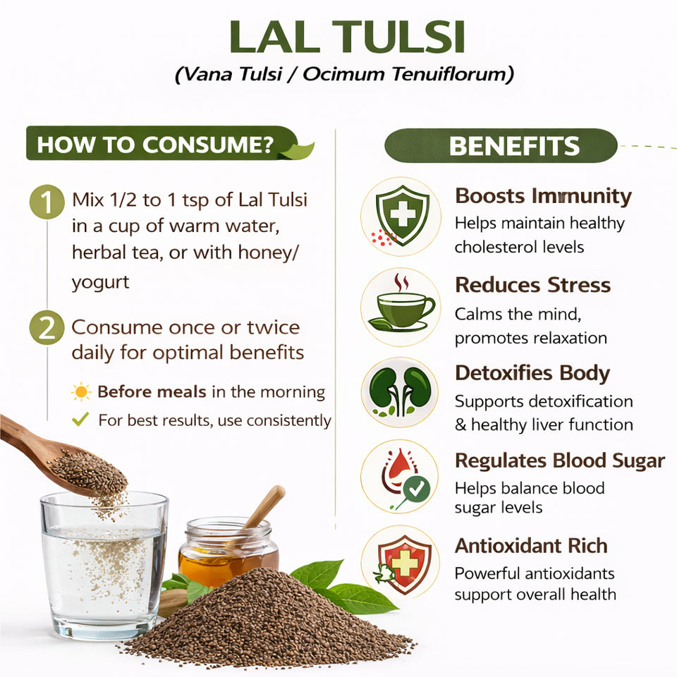 Kunjika Jadibooti Rama Tulsi Seeds | Ram Tulsi Beej | Indian Basil | Holy Tulsi | Gora Tulsi - 100 gm