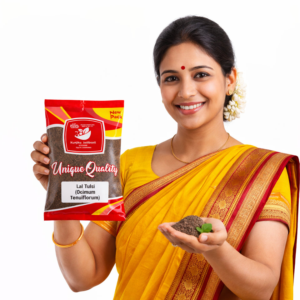 Kunjika Jadibooti Rama Tulsi Seeds | Ram Tulsi Beej | Indian Basil | Holy Tulsi | Gora Tulsi - 100 gm