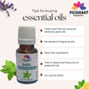 Pujahaat Basil (Tulsi) Essential Oil Pure, Natural & Undiluted Therapeutic Grade For Cough, Colds, Clear Breathing, Pain, Mosquito Repellent, Aromatherapy, Relaxation - Vegan & Cruelty free - 15 ml