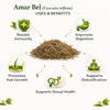 Kunjika Jadibooti Amar Bel - Akash Bel - Afteeyun - Aftimoon - Dodder - Cuscuta reflexa - 100 gm
