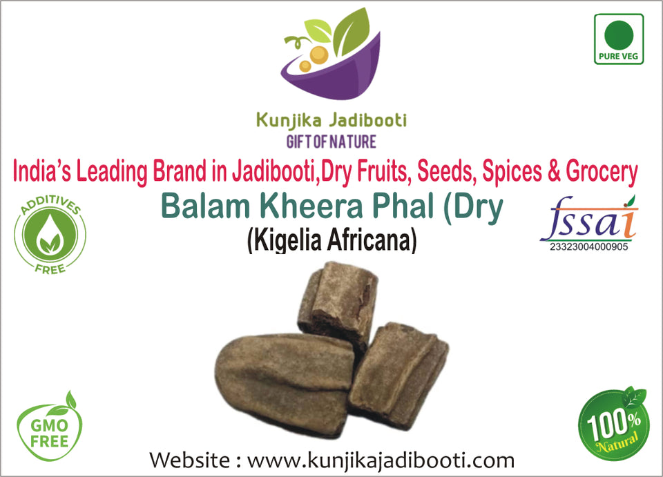 Kunjika Jadibooti Balam Kheera Dry - Balam Khera - Kigelia africana - Dry Balam Khira | Jadi Booti Whole - 100 gm