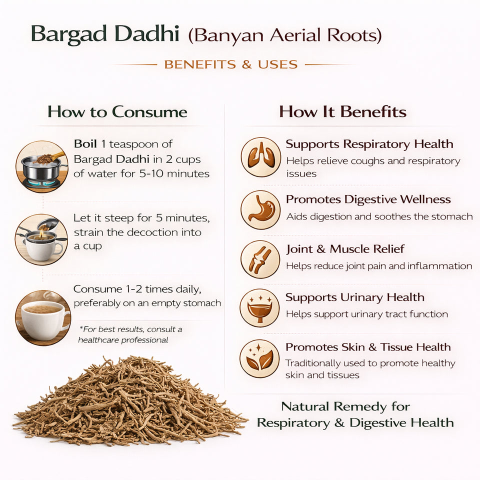 Kunjika Jadibooti Bargad Ki Dadhi - Bar Ki Dari - Badh Ki Dadhi - Banyan Aerial Roots - Pure & Natural | Jadi Booti Whole - 100 gm