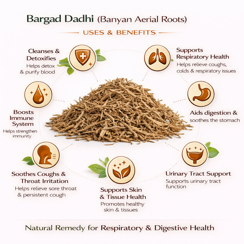 Kunjika Jadibooti Bargad Ki Dadhi - Bar Ki Dari - Badh Ki Dadhi - Banyan Aerial Roots - Pure & Natural | Jadi Booti Whole - 100 gm