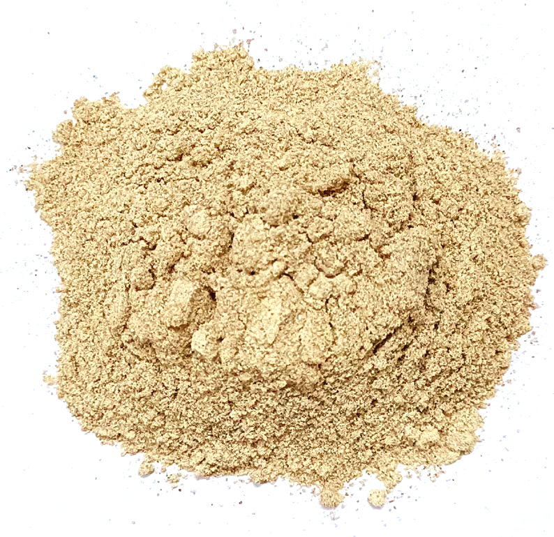 Kunjika Jadibooti Palash Beej Powder - Palash Seeds - Tesu Beej - Bilas Papda - Butea Monosperma Powder - 100 gm