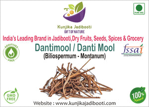 Kunjika Jadibooti Dantimool - Danti Mool - Danti - Hakum - Biliospermum - Montanum - Wild Castor - Red Physic Nut Dried Herb - 100 gm