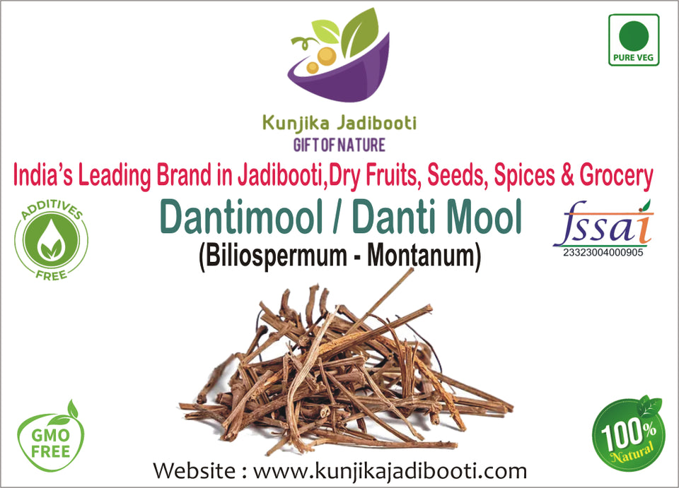 Kunjika Jadibooti Dantimool - Danti Mool - Danti - Hakum - Biliospermum - Montanum - Wild Castor - Red Physic Nut Dried Herb - 100 gm