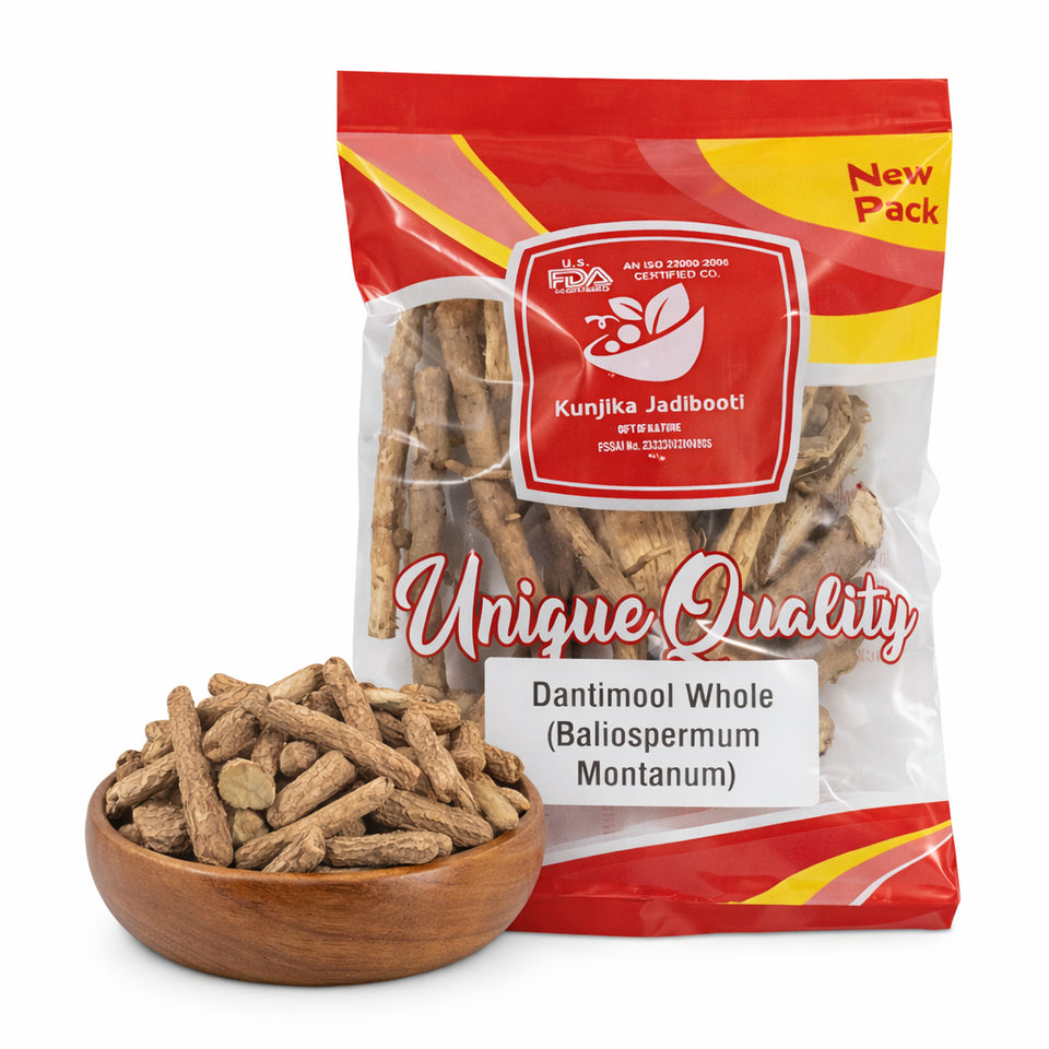 Kunjika Jadibooti Dantimool - Danti Mool - Danti - Hakum - Biliospermum - Montanum - Wild Castor - Red Physic Nut Dried Herb - 100 gm