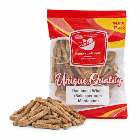 Kunjika Jadibooti Dantimool - Danti Mool - Danti - Hakum - Biliospermum - Montanum - Wild Castor - Red Physic Nut Dried Herb - 100 gm