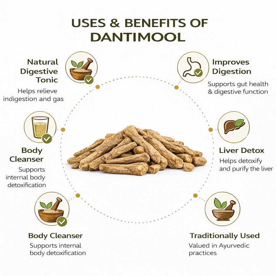 Kunjika Jadibooti Dantimool - Danti Mool - Danti - Hakum - Biliospermum - Montanum - Wild Castor - Red Physic Nut Dried Herb - 100 gm