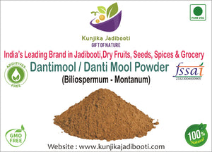 Kunjika Jadibooti Dantimool Powder - Danti Mool - Danti - Hakum - Biliospermum - Montanum - Wild Castor - Red Physic Nut Dried Herb Powder - 100 gm