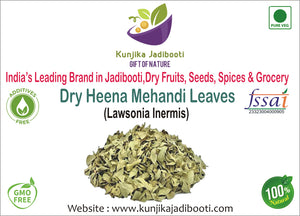 Kunjika Jadibooti Mehandi Leaves | Henna Mehandi Leaves | Whole Natural Pure Henna Leaves - 100 gm