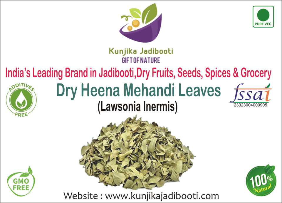 Kunjika Jadibooti Mehandi Leaves | Henna Mehandi Leaves | Whole Natural Pure Henna Leaves - 100 gm