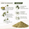 Kunjika Jadibooti Mehandi Leaves | Henna Mehandi Leaves | Whole Natural Pure Henna Leaves - 100 gm